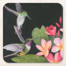 Search for hummingbird coasters Flowers