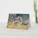 Search for zebra stripes cards Safari