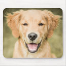 Search for golden retriever puppy mouse mats Animal