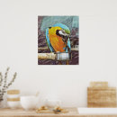 Search for macaw parrot posters Cute