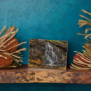 Search for danita delimont plaques Foliage