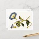 Search for botanist postcards Vintage