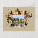 Search for blue frame postcards Nature