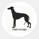 Search for greyhound crafts party Animals
