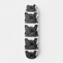 Search for breed comp skateboards Pets