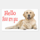 Search for golden retrievers stickers Puppy