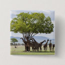 Search for together square badges Wildlife