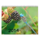 Search for dragonfly calendars Insects