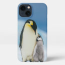 Search for baby chicks iphone cases Animals in the wild
