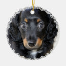 Search for hot dog christmas tree decorations Puppy