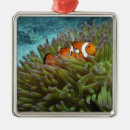 Search for clown christmas tree decorations Sea