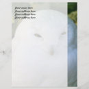 Search for owl stationery paper Wildlife