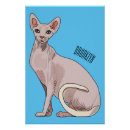 Search for hairless cat posters Pet