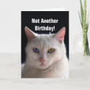 Search for turkish birthday cards Cat