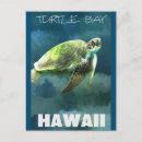 Search for hawaii turtle postcards Tropical
