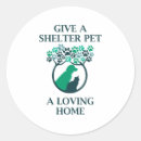 Search for cat adoption stickers Shelter