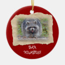 Search for bah humbug christmas tree decorations Animal