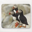 Search for atlantic islands mouse mats Machias seal island