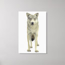 Search for concentric canvas prints Grey