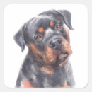 Search for rotty stickers Rottweiler
