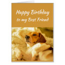 Search for real friend Dog