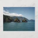 Search for wellington new zealand postcards Water