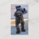 Search for schnauzer business cards Miniature