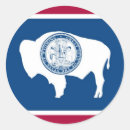 Search for equality state Bison