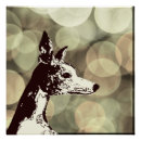 Search for whippet posters Dog