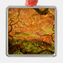Search for maple christmas tree decorations Pattern