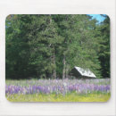 Search for lupins mouse mats Lupine