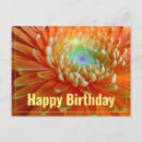 Search for happy birthday daisy flower postcards Orange