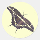 Search for swallowtail butterfly stickers Digital