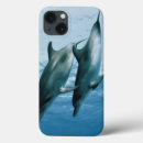 Search for dolphin picture electronics Colour image