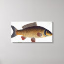 Search for ichthyology art Andreas ludwig
