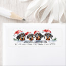 Search for doberman pinscher return address labels Cute