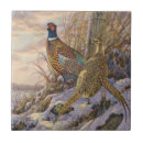 Search for pheasant tiles Nature