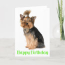 Search for yorkshire terrier dog birthday cards Puppy