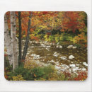 Search for hampshire mouse mats Nature