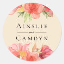 Search for peach watercolor stickers Pretty