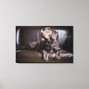 Search for chocolate labrador canvas prints Horizontal