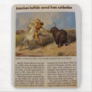 Search for extinct mouse mats Conservation