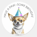 Search for cute chihuahua stickers Birthday
