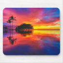 Search for maui mouse mats Palm tree