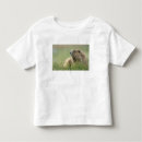 Search for marmot tshirts Mountain