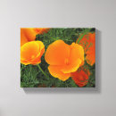 Search for orange poppy canvas prints Wildflowers