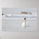 Search for landscape posters Winter