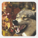 Search for snarl stickers Animal body part