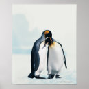 Search for two penguins posters Full length