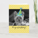 Search for yorkie cards Cartoon